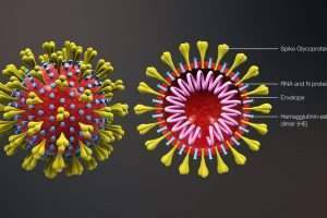 Coronavirus: perché e come riaprire in sicurezza